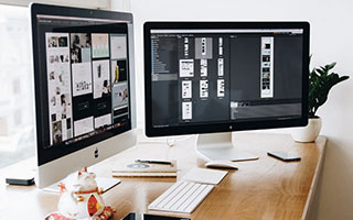 中医对胆的论述